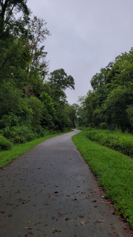 Third Fork Creek Trail on a drizzly day