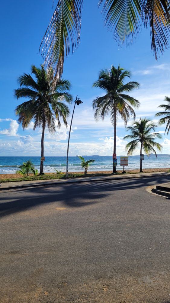 View of palm trees and the beach from the Luquillo Sunrise Beach Inn in Puerto Rico 