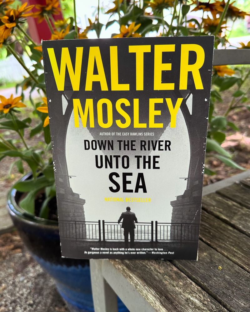 Book posed atop a wooden bench in front of a flower pot of daisies. Book cover reads,“Down the River Unto the Sea by Walter Mosley.”