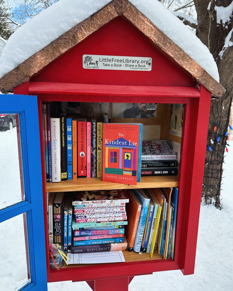 Picture of books inside a little free library. 