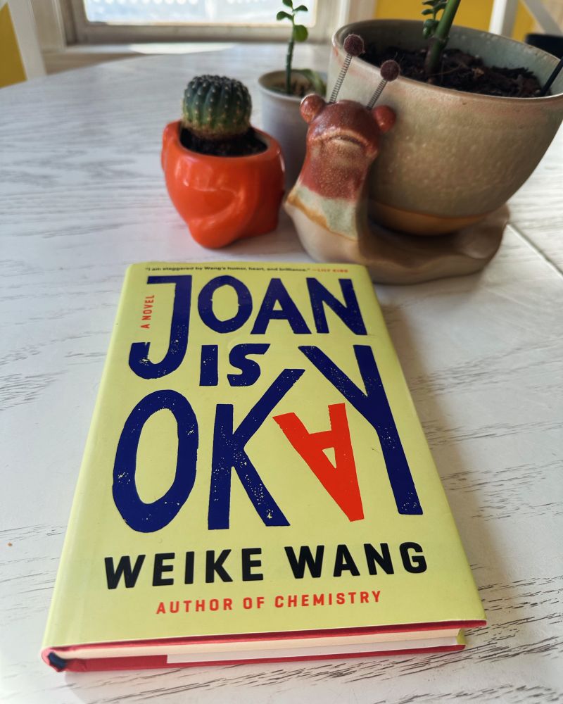 Photo of a book on a table with the cover “Joan is Okay by Weike Wang” and surrounded the three small planters of succulents.