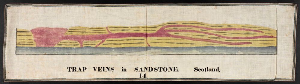 Scientific illustration by Orra Hitchcock