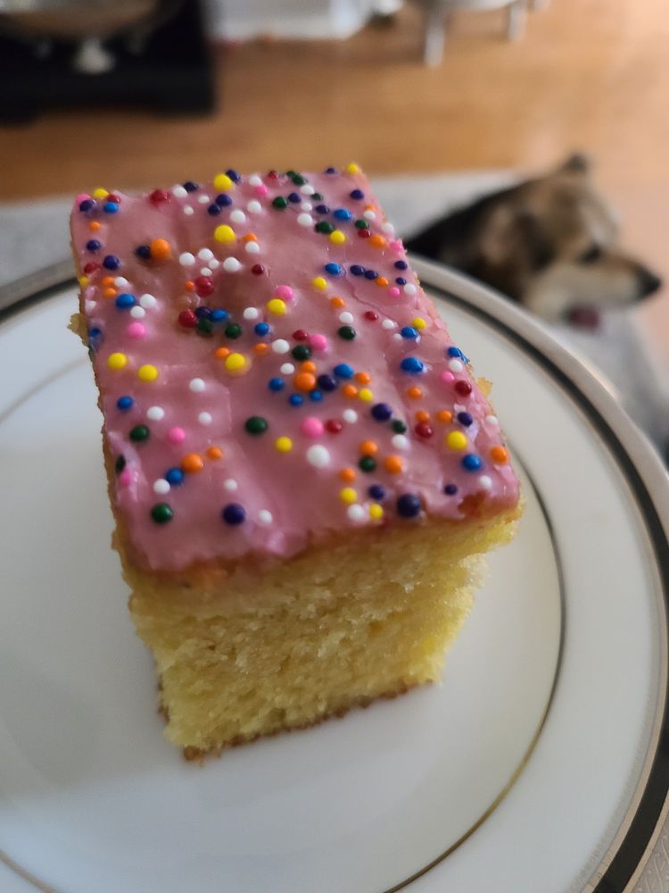 A slice of homemade cortadillo (yellow cake with pink icing and rainbow sprinkles) on a small white plate with a black and silver edge. In the background is the head of my dog, Harvey, who is yawning.