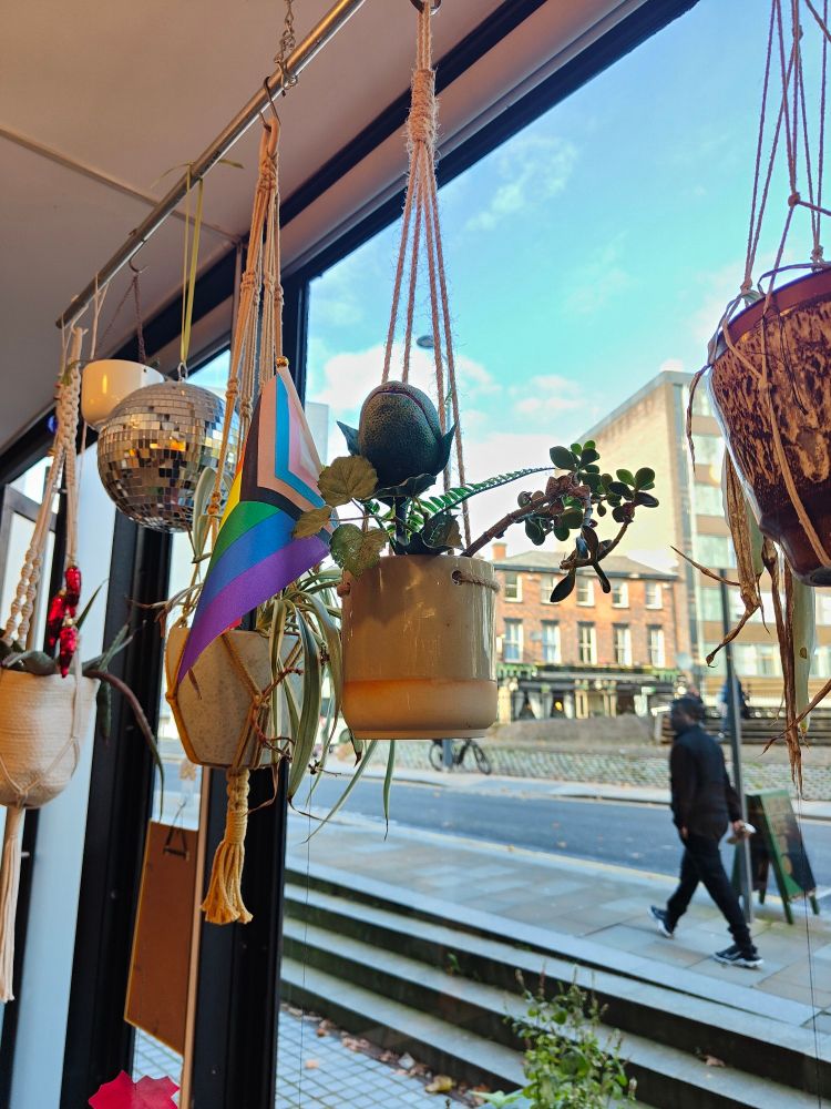 Model of Audrey II from Little Shop of Horrors in a plant pot with a progress pride flag!