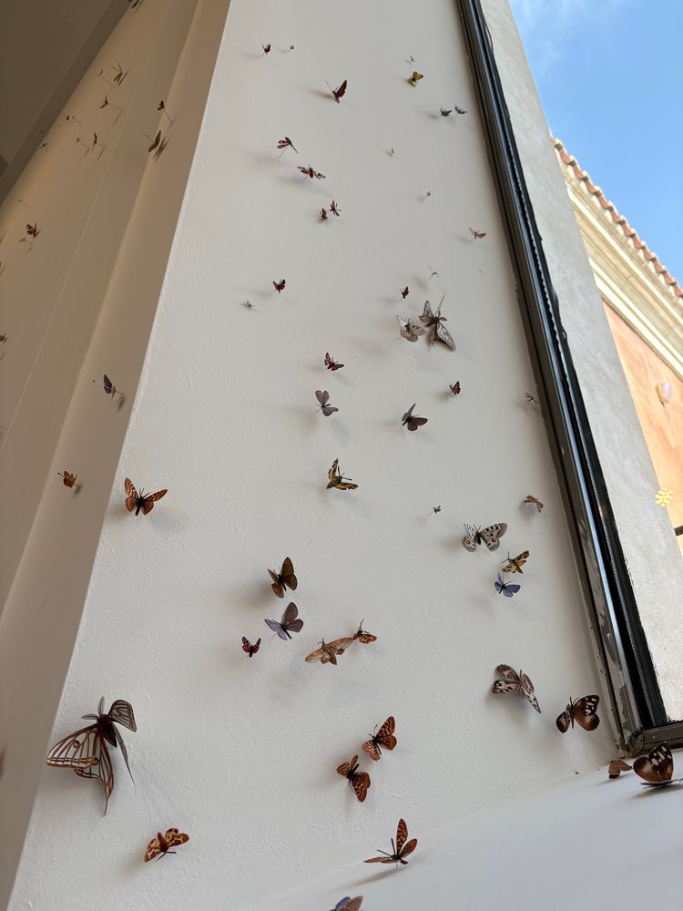 A detailed view of one of the room's columns.

There are paper replicas in many different colours and sizes. They all depict emblematic or endangered species of moths (such as Graellsia isabellae) and butterflies (such as Parnassius apollo).