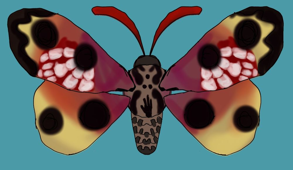 Moth thaj represents humanitys fall. Unfinished