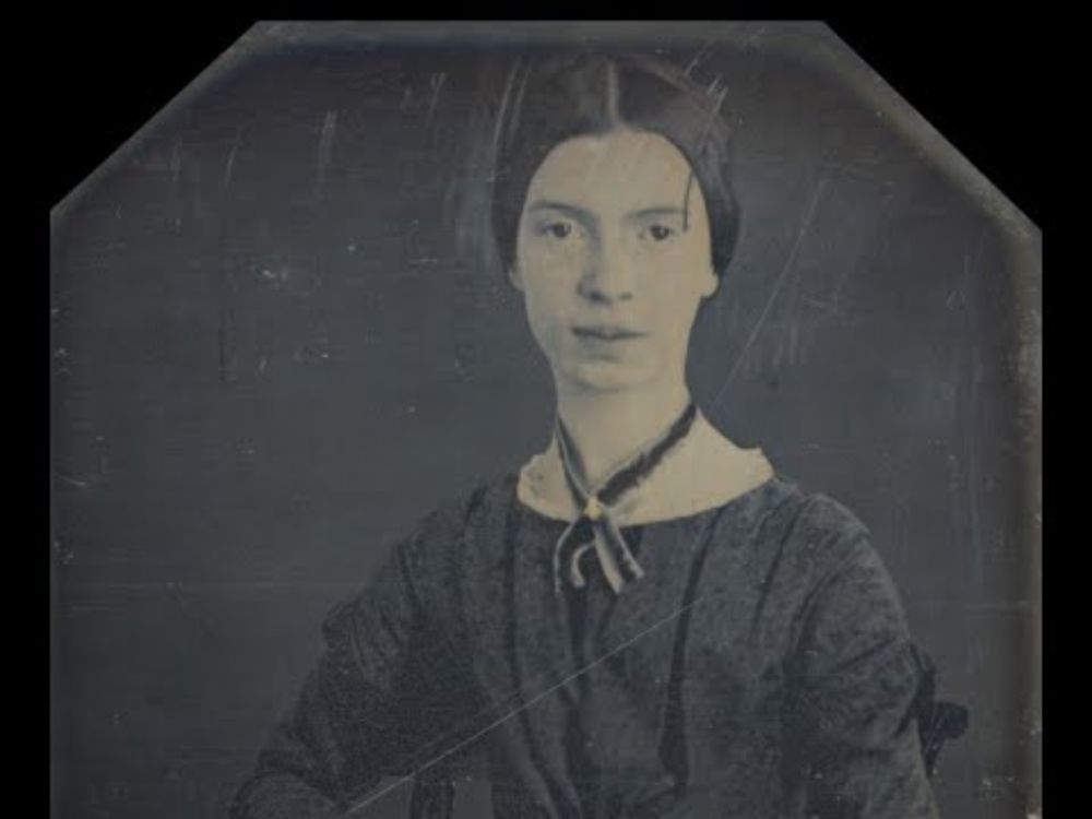 David Rain/Emily Dickinson: "Let's toil for Love not Hate"