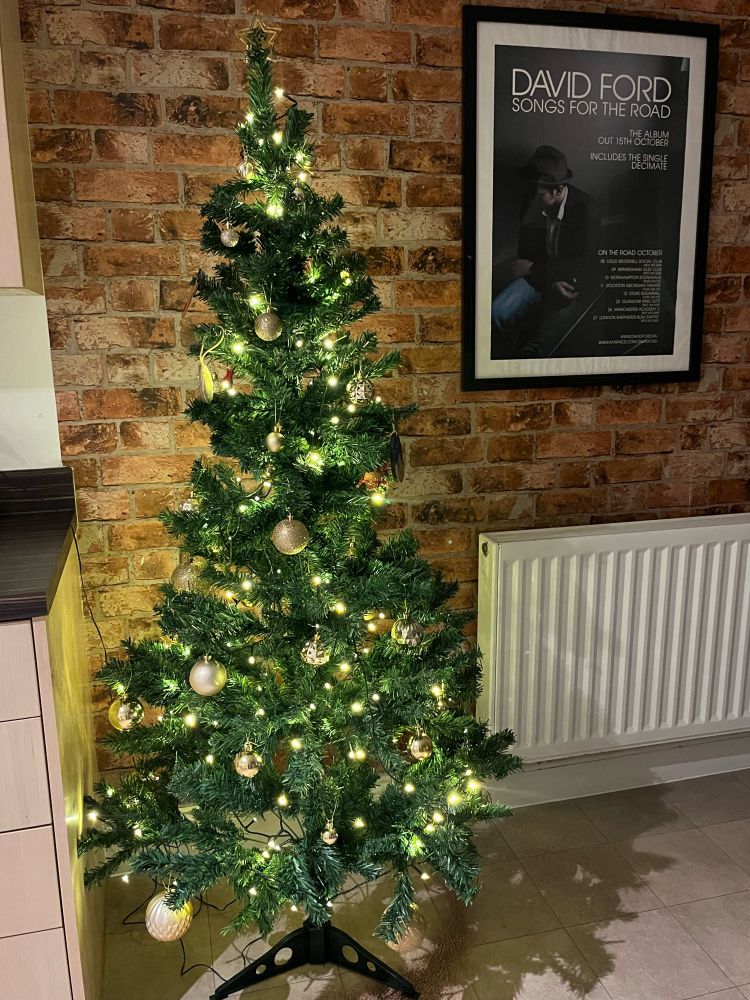 Christmas tree with gold decorations and lights on. A poster of David Ford in the background. 