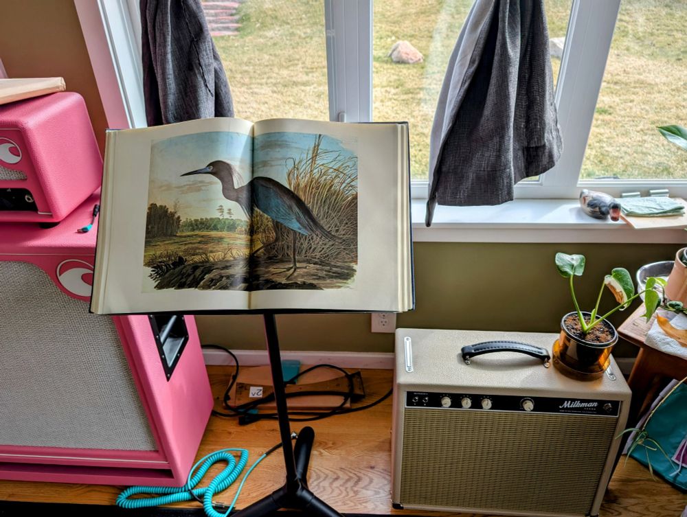 Audubon's bird print book on a music stand sitting against a row of windows, surrounded by guitar amps
