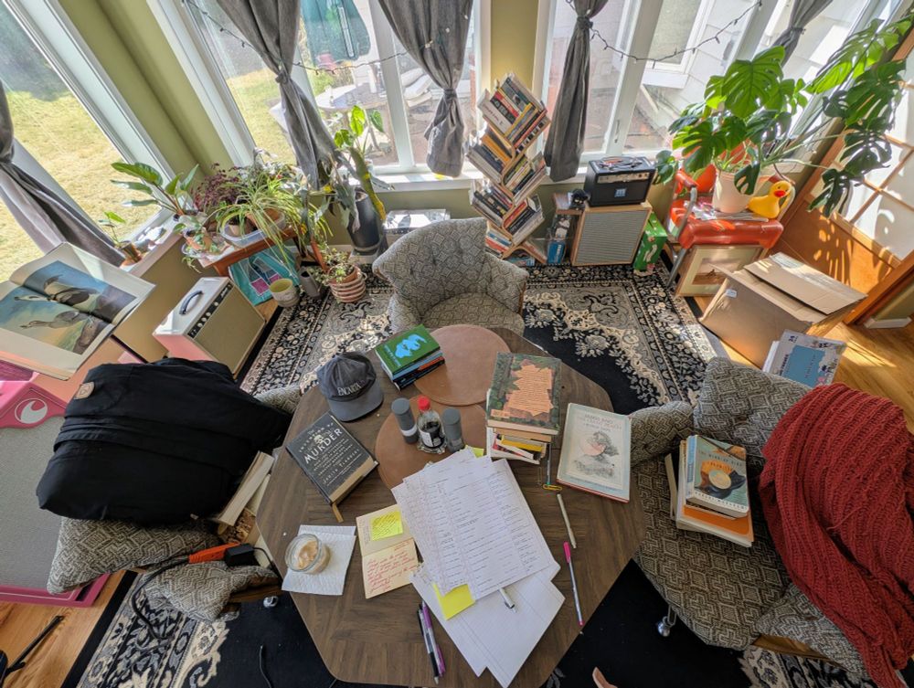 photo of a zoomed-out sun room littered with plants, papers and books