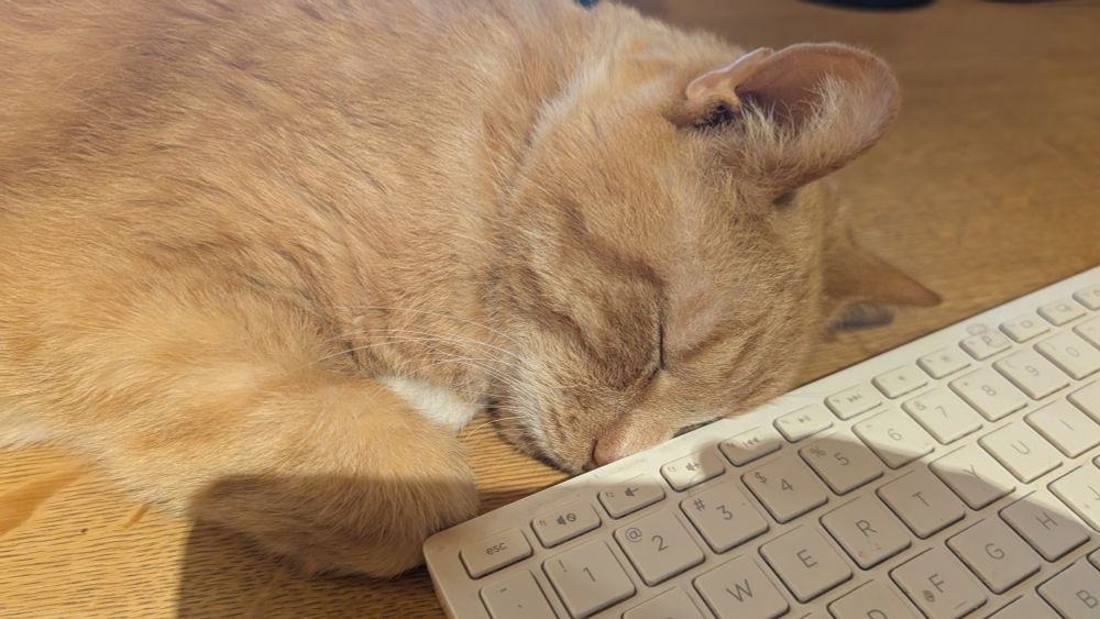 Photo of a sleeping ginger cat, head pushed up by a computer keyboard on a wooden surface (the top of a desk)