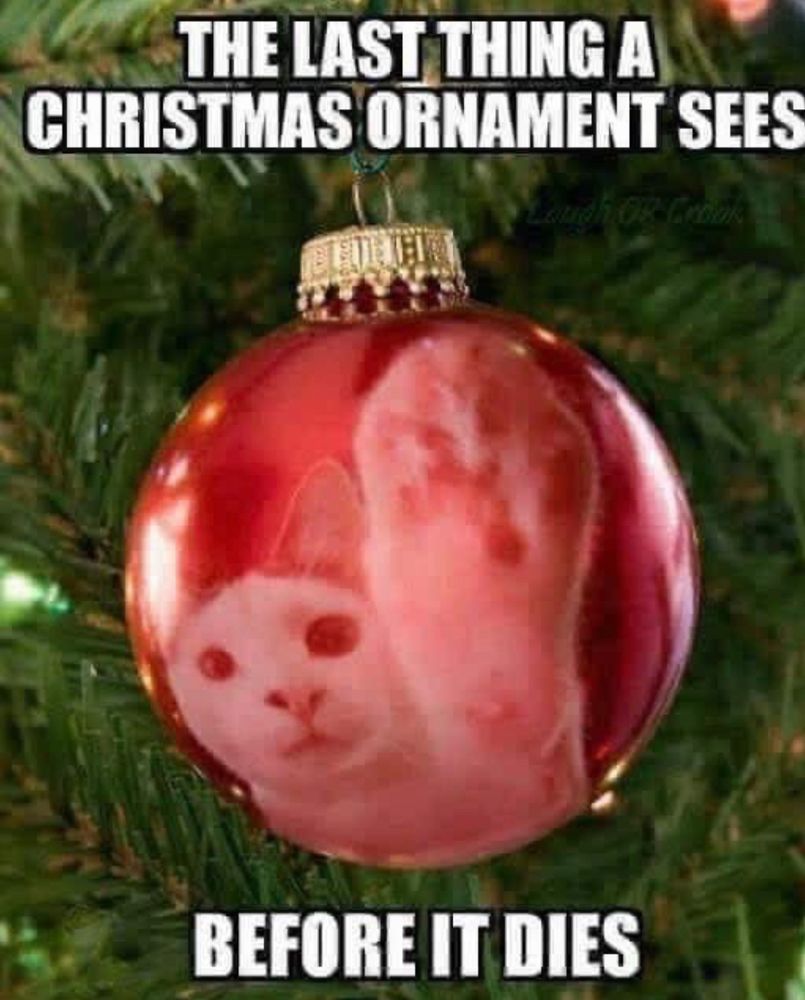 Glass ball Christmas tree ornament with reflection of a cat reaching out with a paw