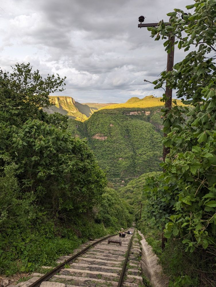 A train track going down in a beautiful canyon surrounded by trees. At the other end the setting no sun is giving a yellow glow to the top of the mountains