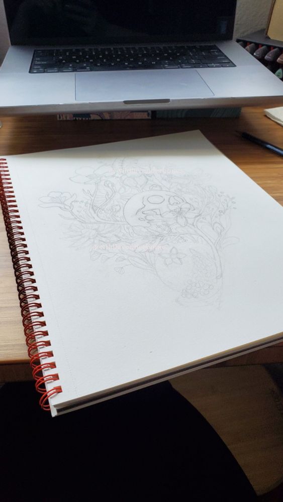 Pencil drawing of a partial skull, side view, surrounded by multiple different botanicals including cherry blossoms, lavender, foliage, a pomegranate, grass, and thistles.