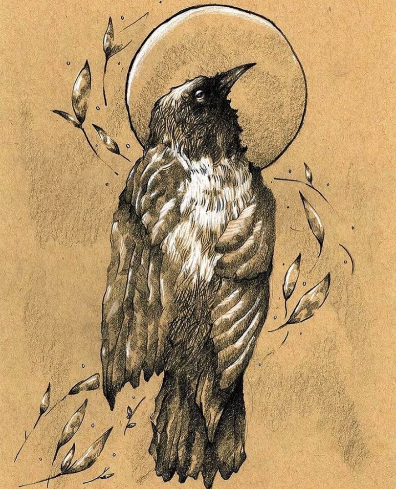 Drawing of a dead bird on its back accented by floating leaves. Drawn with black and white pencil on strathmore tan toned paper.