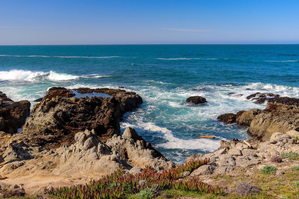 A sweeping view of the ocean from a coastal bluff. Choppy waves are bringing a large piece of driftwood close to the shore.