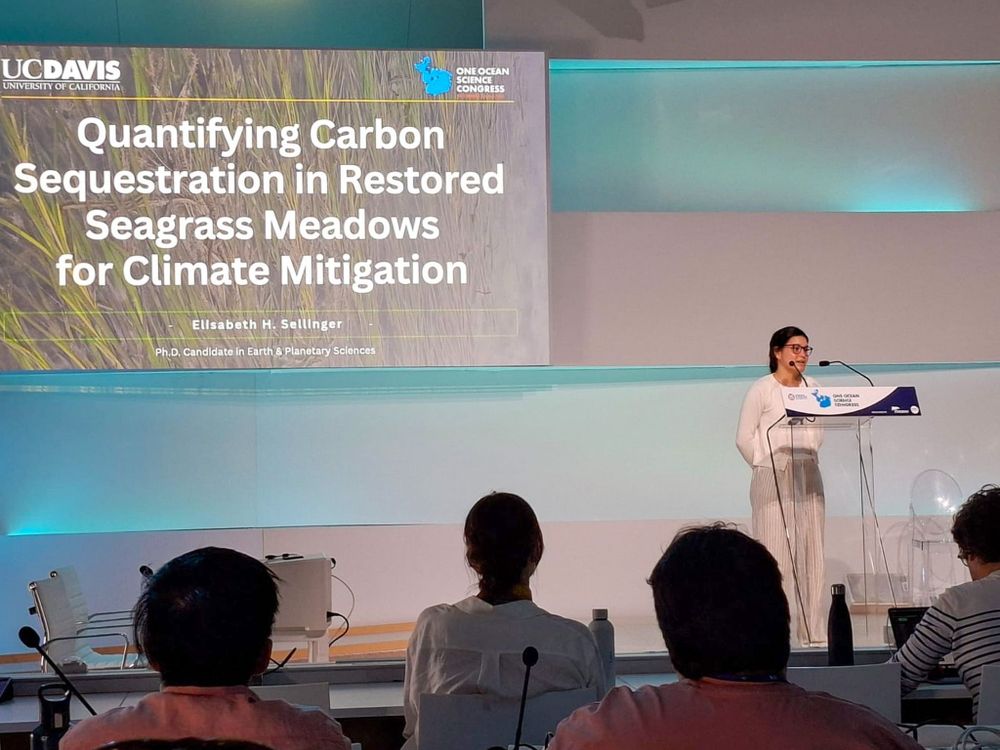 Elisabeth Sellinger presenting to a conference audience from a podium. On the screen behind her is a presentation that reads "Quantifying Carbon Sequestration in Restored Seagrass Meadows for Climate Mitigation"