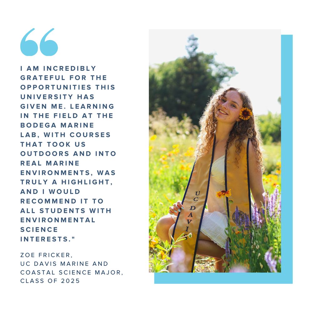 A graphic showing a commencement photo of Zoe Fricker paired with a quote that reads "I am incredibly grateful for the opportunities this university has given me. Learning in the field at the Bodega Marine Lab, with courses that took us outdoors and into real marine environments, was truly a highlight, and I would recommend it to all students with environmental science interests."