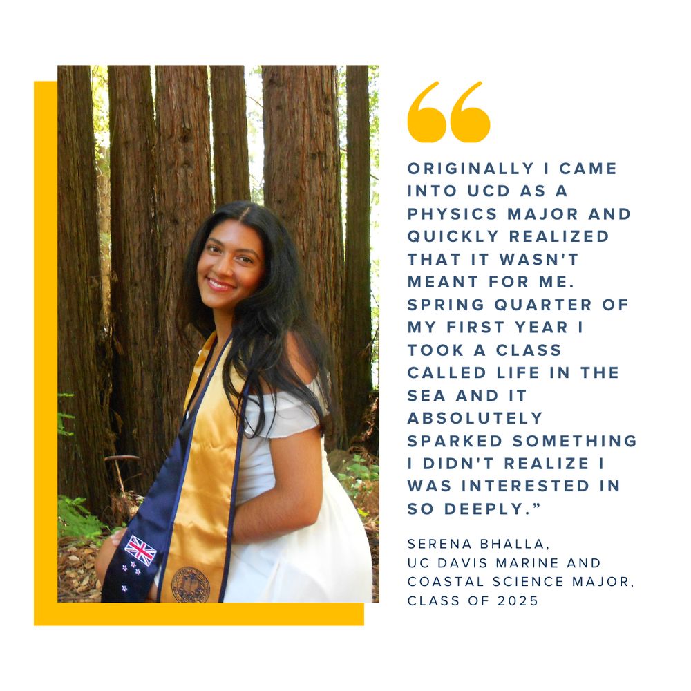 A graphic showing a commencement photo of Serena Bhalla paired with a quote that reads "Originally I came into UCD as a physics major and quickly realized that it wasn't meant for me. Spring quarter of my first year I took a class called Life In The Sea and it absolutely sparked something I didn't realize I was interested in so deeply."