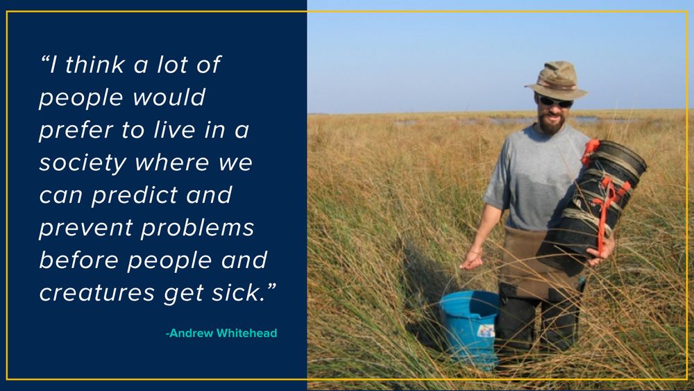 An image of Andrew Whitehead working in the field with a quote next to it that reads "I think a lot of people would prefer to live in a society where we can predict and prevent problems before people and creatures get sick."
