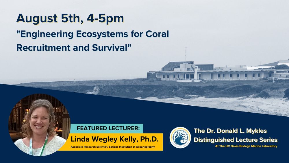 A graphic showing a blue duotoned image of Bodega Marine Laboratory with a text overlay saying August 5th, 4-5pm, "Engineering Ecosystems for Coral Recruitment and Survival", Featured Lecturer: Linda Wegley Kelly, Ph.D., Associate Research Scientist, Scripps Institution of Oceanography, The Dr. Donald L. Mykles Distinguished Lecture Series