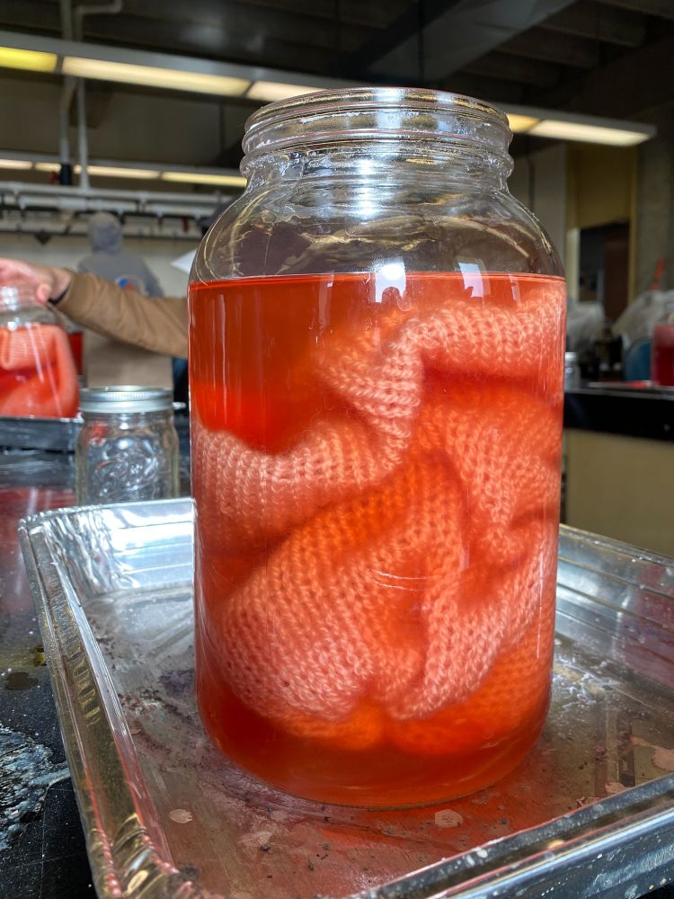 A glass jar full of pink-purple dye and wool beanies