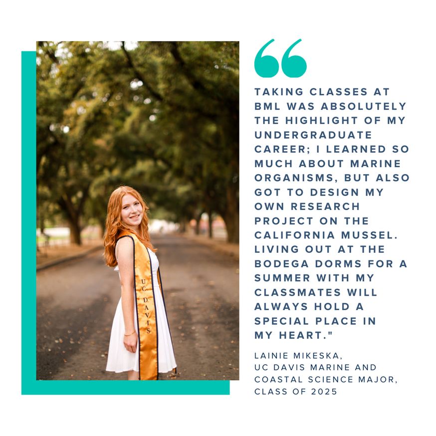 A graphic showing a commencement photo of Lainie Mikeska paired with a quote that reads "Taking classes at BML was absolutely the highlight of my undergraduate career; I learned so much about marine organisms, but also got to design my own research project on the California mussel. Living out at the Bodega dorms for a summer with my classmates will always hold a special place in my heart."