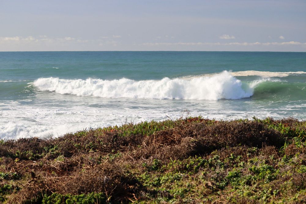 A large wave crashing off the shore of the Bodega Marine Reserve.