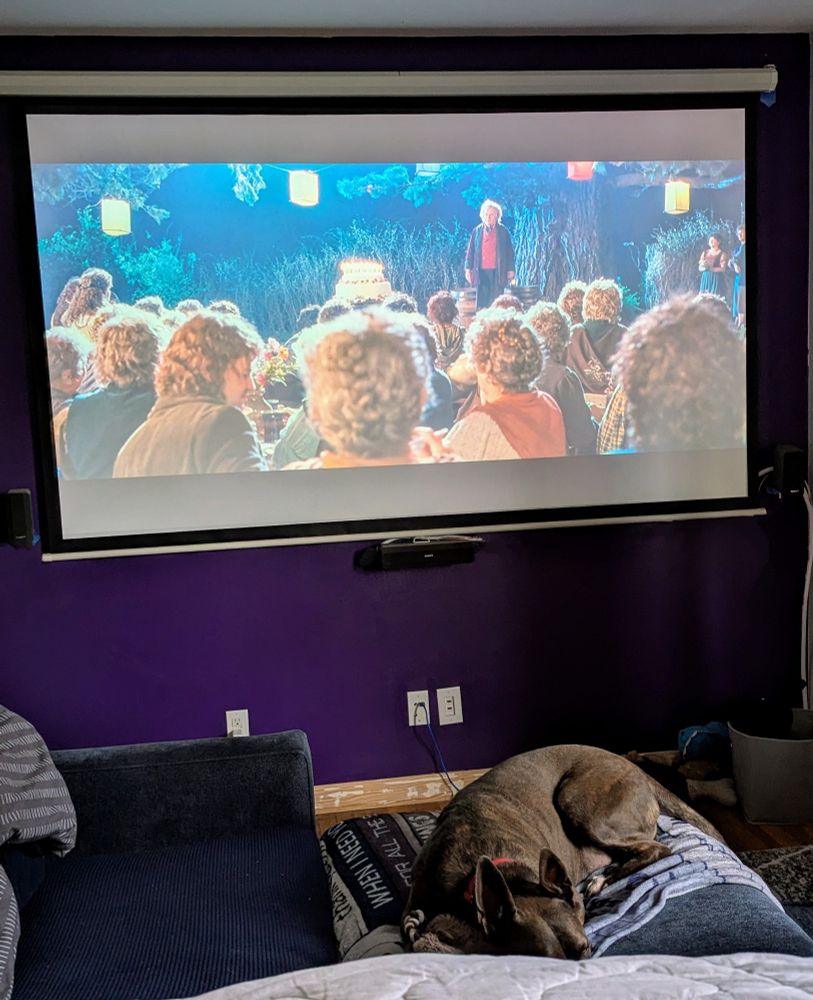 Projector screen showing Fellowship of the Ring with a cute brown dog curled up on the couch in front of it.