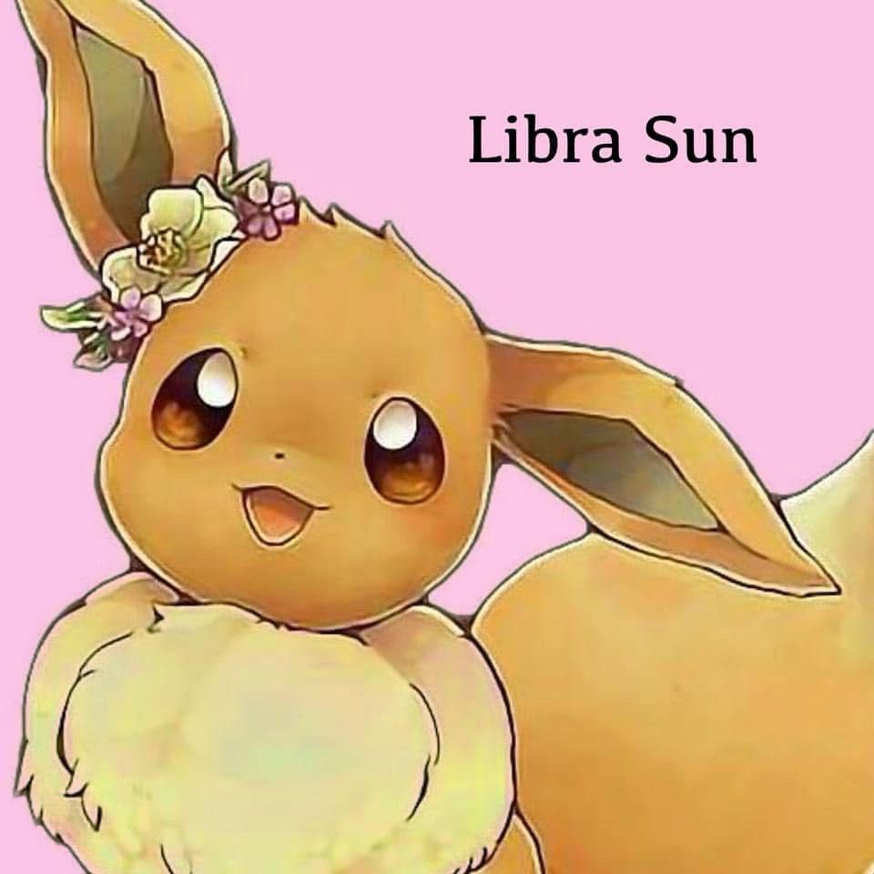 pokémon eevee de coroa de flores em uma orelha, com um fundo rosa e escrito em inglês sol em libra