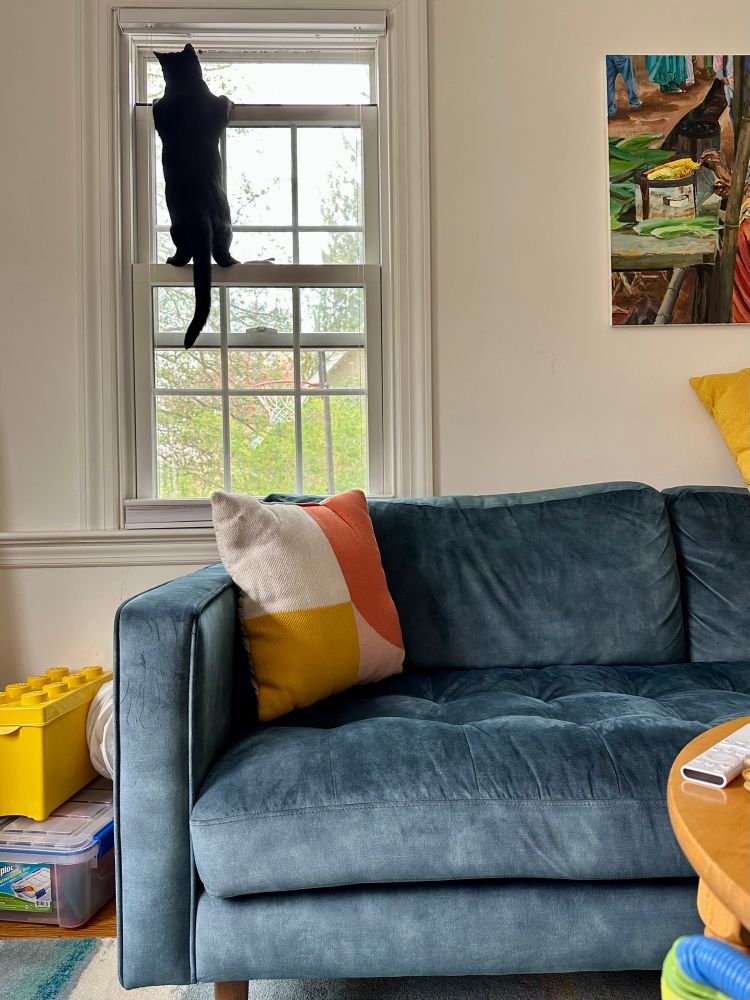 a living room window sash is opened from the top and there is a black cat perched precariously on it, roughly 7 feet off the ground, so that he can smell the fresh air