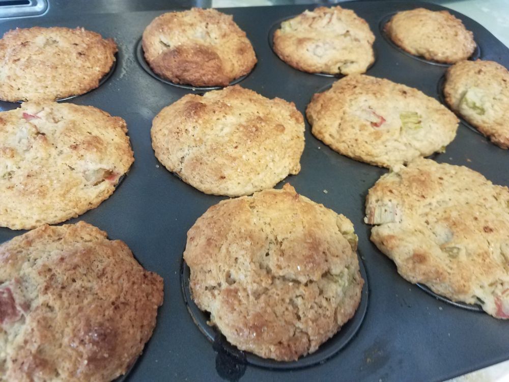 Close-up of a muffin tin full of rhubarb muffins, sparkling with crunchy demerara topping and charmingly uneven in their level of golden brown.