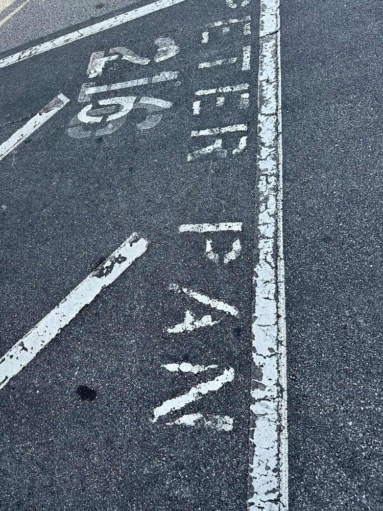 TTC Peter Pan Parking 216 Walt Disney World