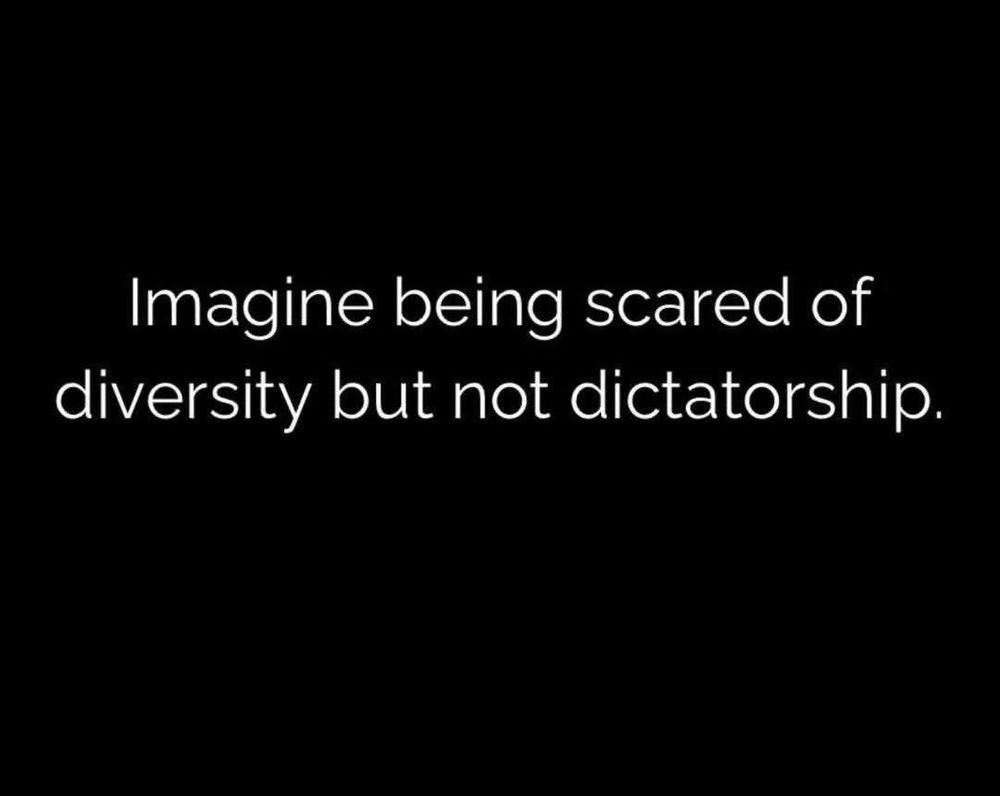 Reads, “Imagine being scared of diversity but not dictatorship,” on a black background with white letters.