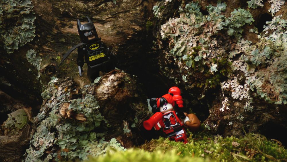 Lego minifigures of Harley Queen running away with her loot, but Batman, who has the high ground, is about to pounce on her and catch her.