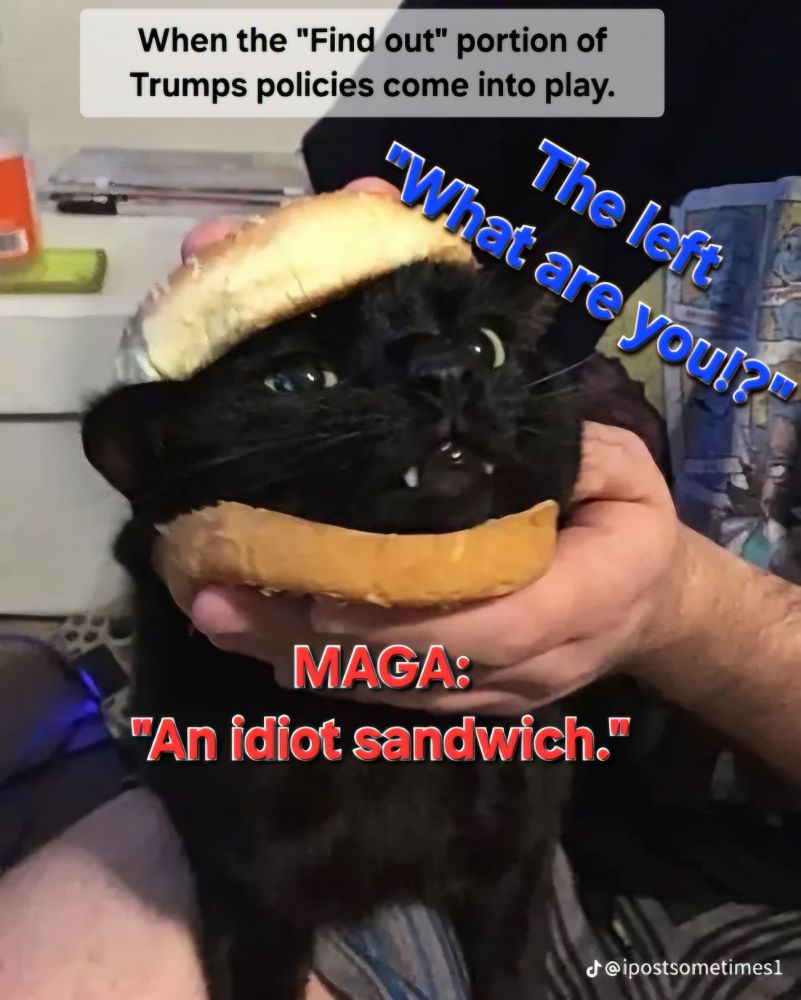 Comment image