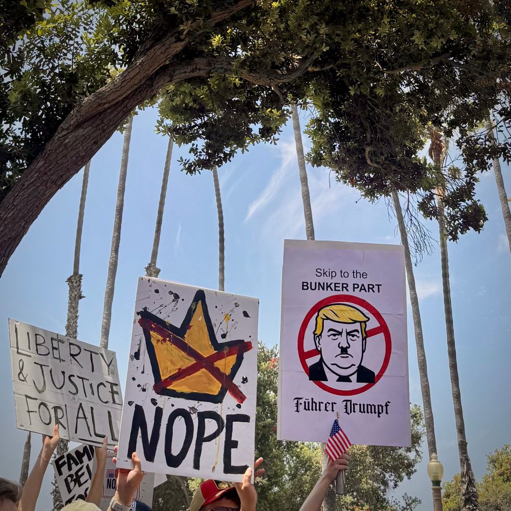 Signs reading “Liberty and Justice for all” and “Nope” with an X’d out crown, and “skip to the bunker part” w/image of Trump and “Furer Trump” underneath. All against a blue skie with tree leaves and Palm tree trunks rising in the background. 
