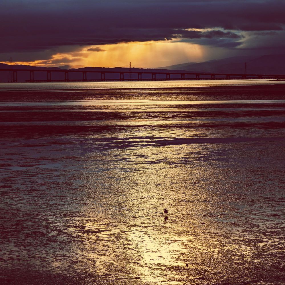 San Francisco Bay shoreline at low tide; a single bird is standing on the mud looking for breakfast, well after sunrise but the break in the clouds behind throws sharp relief over the image.