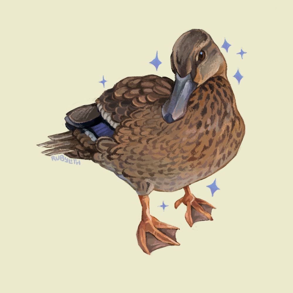 Drawing of a Koloa Maoli or Hawaiian Duck on a light yellow background with blue sparkles. The duck is brown with a blue speculum stripe. 