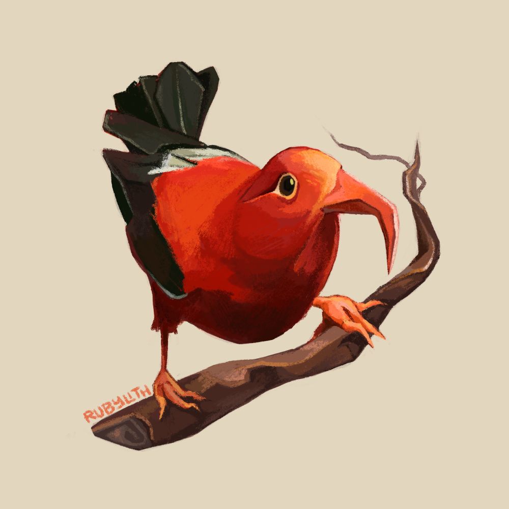 Digital drawing of an ʻIʻiwi bird, perched on a branch. It had bright red plumage with black tipped wings and tail feathers, and a long, curved, peach-colored beak. 