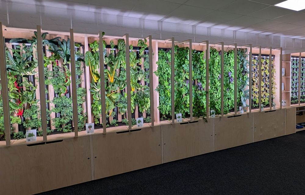 The Felix Project London .