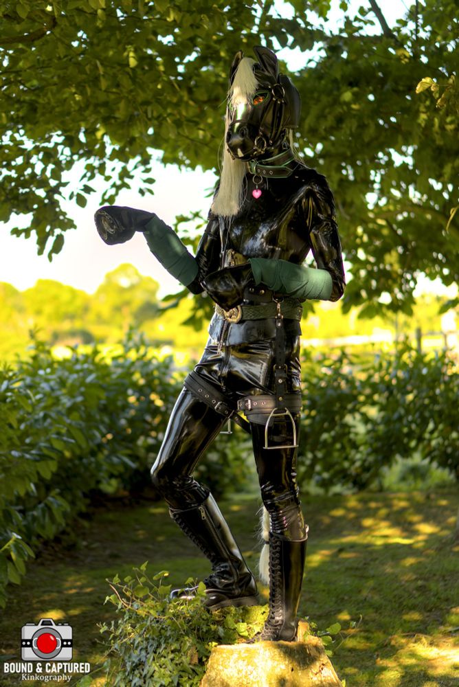 A black rubber pony with green polo wraps and white mane and tail stands on a tree stump in the sun