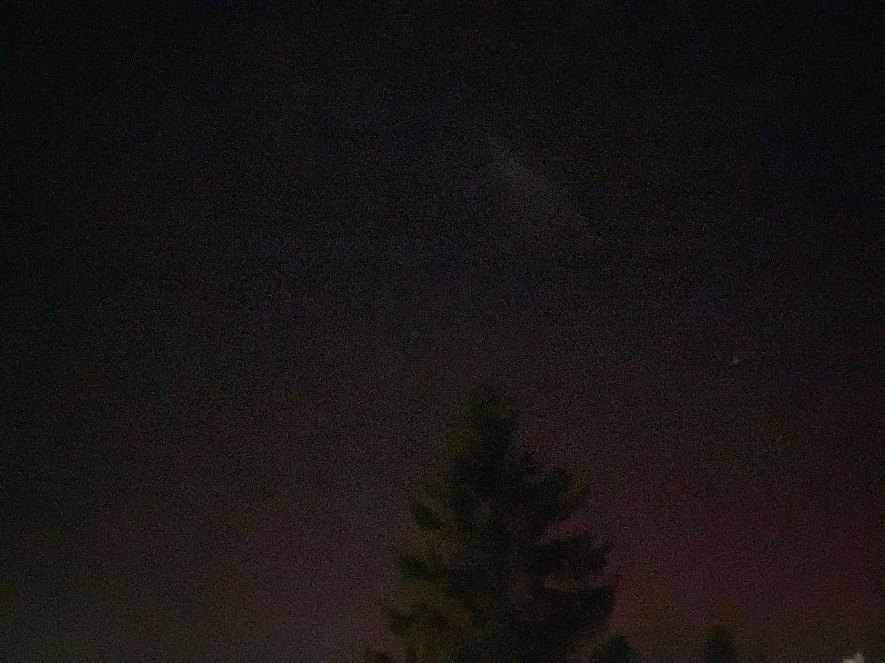 Dark Night sky with pink polar light in the lower portion of the picture, the top of a tree is visible towards the centre. 