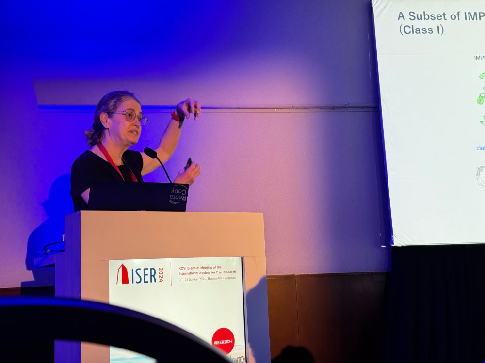 Vision scientist Susan Brockerhof talks about a model of photoreceptor degeneration. 