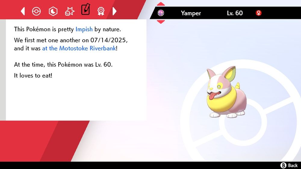 Shiny yamper in a heal ball. Impish by nature. Caught on July 14th