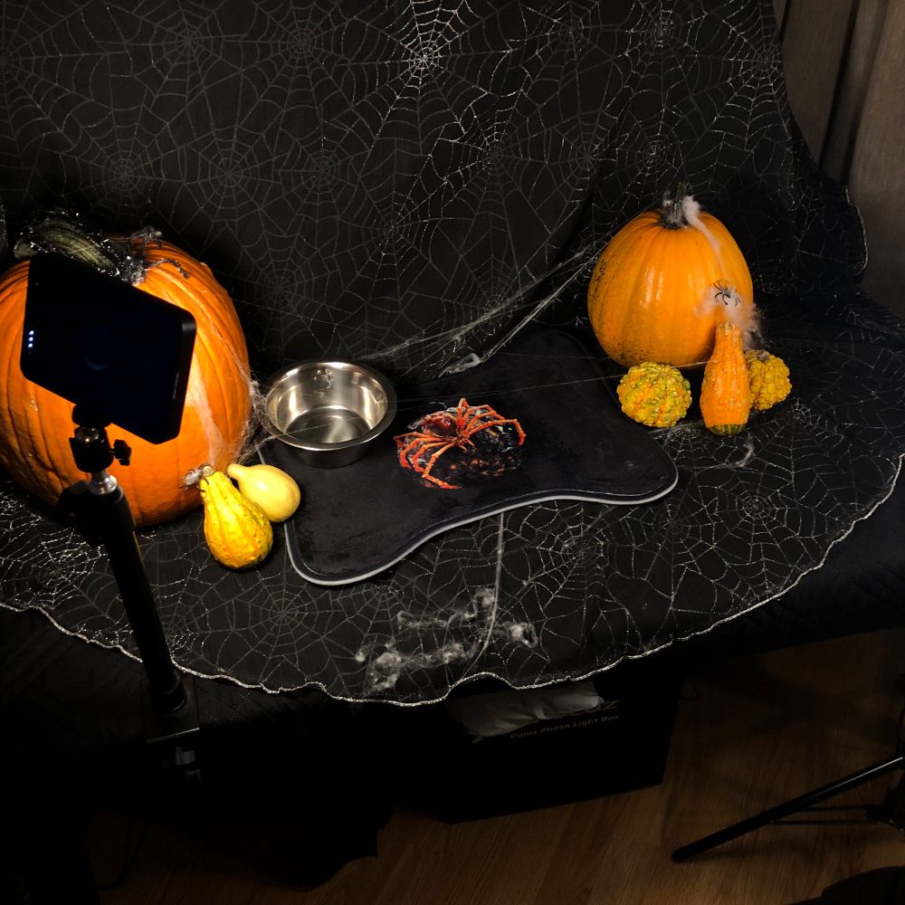 Paw Years behind the scenes mock-up featuring our Banshee design on our pet food mat.