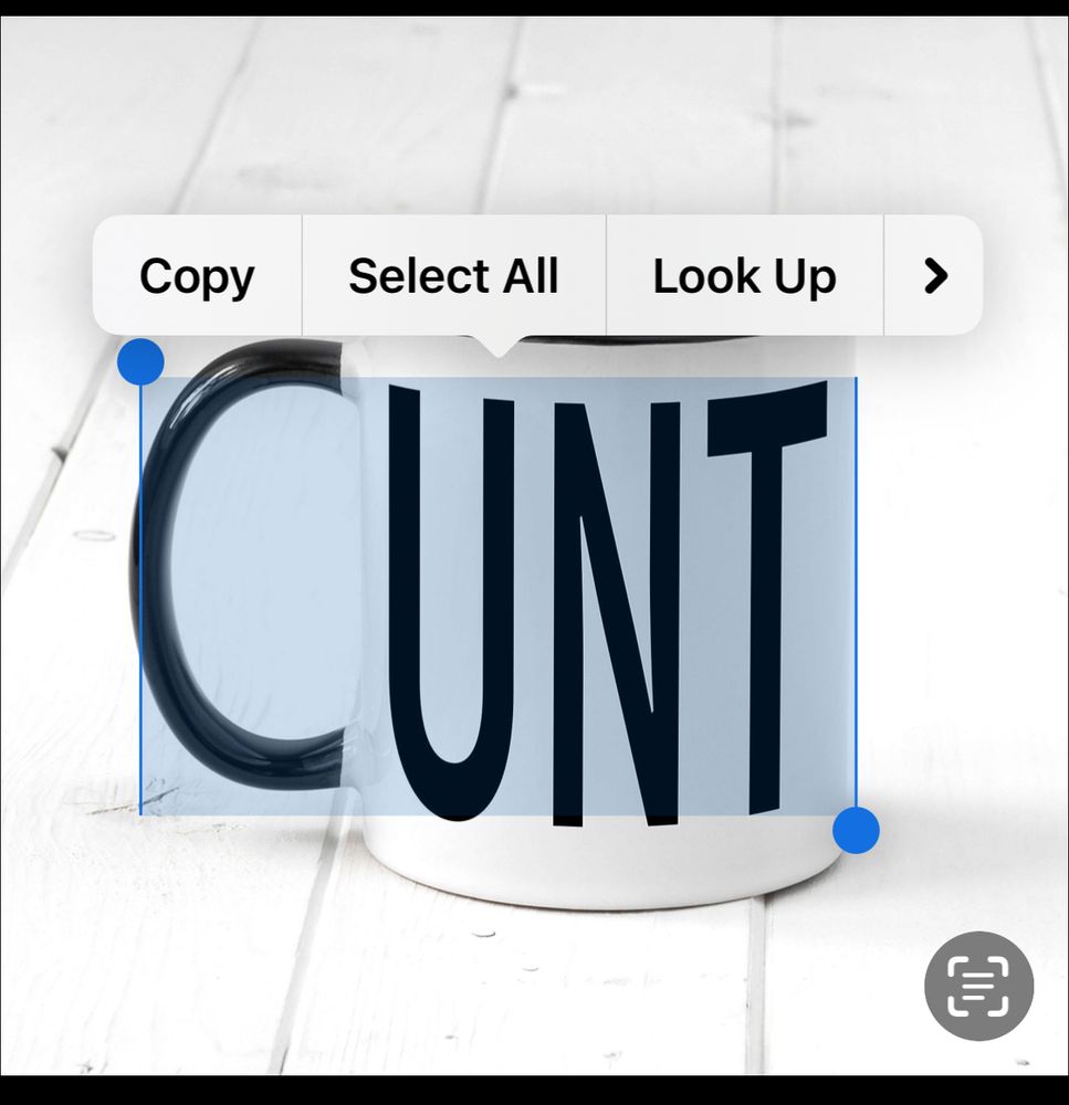Comment image