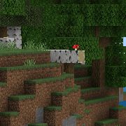Minecraft screenshot of a Birch Log hanging off a cliff, with a small mushroom on it