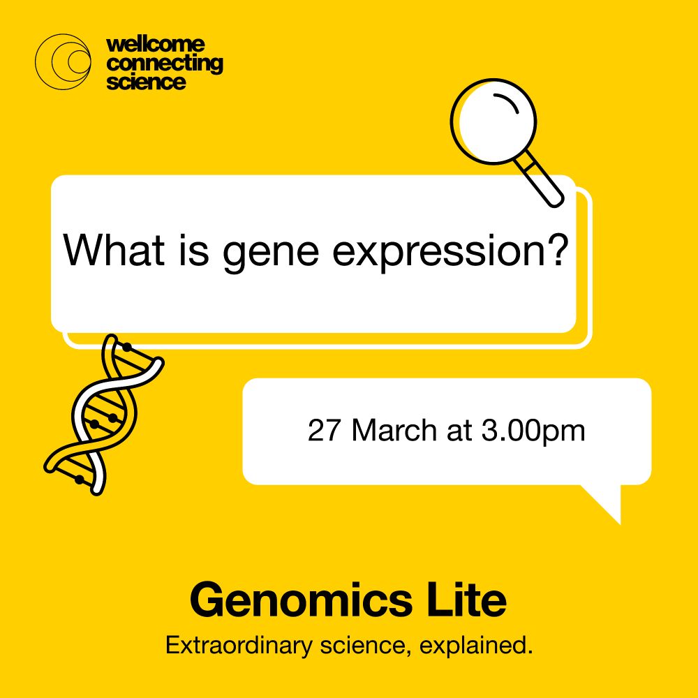 What is gene expression?

27 March 3pm
Genomics Lite