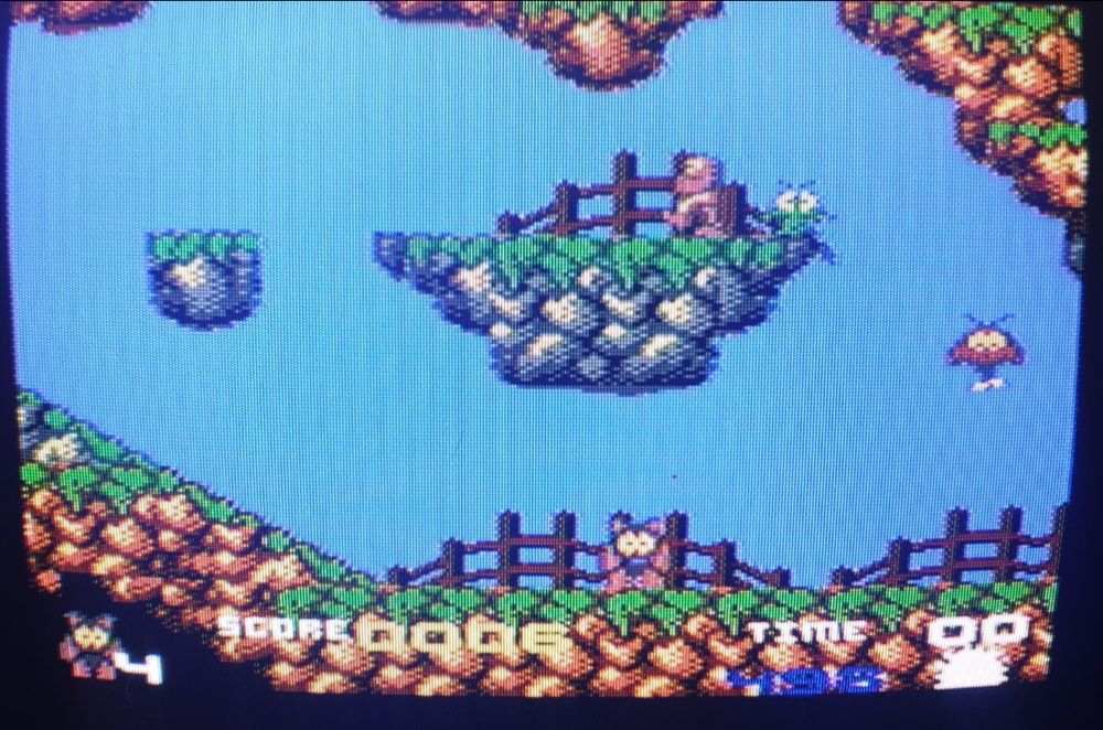 A CRT TV snap of one of the opening cheerfully green and rocky levels with the player sprite at the bottom as cartoonish birds and enemies move and bob up and down.